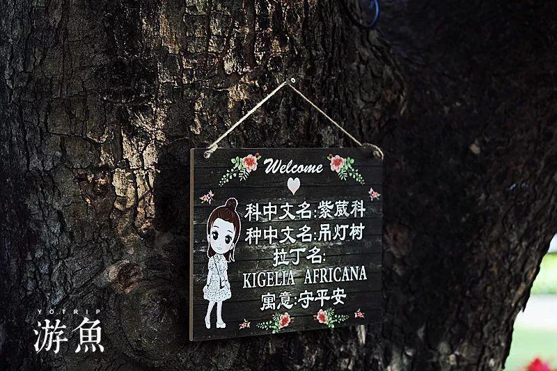 浙江养老新观察：“最美夕阳红”，如何再添“红”？